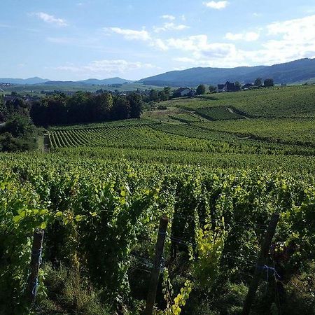 L Escale Des Grands Crus Ribeauvillé Exterior photo